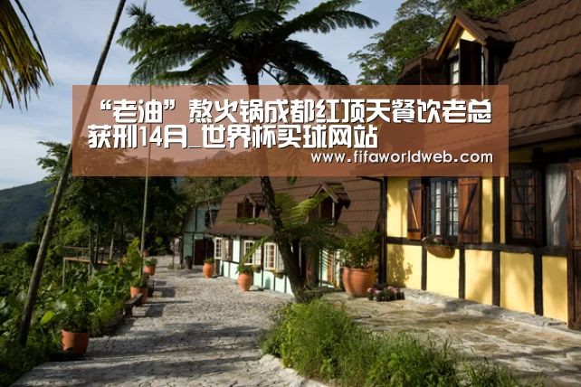 世界杯买球网站官网