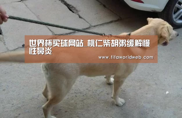 世界杯买球网站_桃仁柴胡粥缓解慢性鼻炎(图2) 世界杯买球网站官网