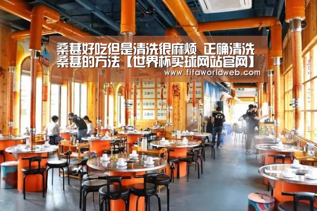 桑葚好吃但是清洗很麻烦 正确清洗桑葚的方法【世界杯买球网站官网】(图3) 世界杯买球网站